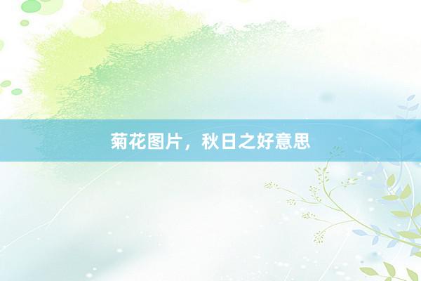 菊花图片，秋日之好意思