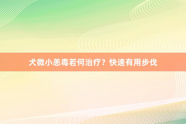 犬微小恙毒若何治疗？快速有用步伐