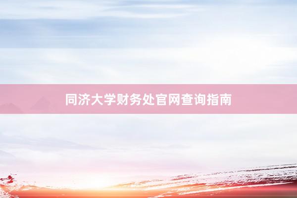 同济大学财务处官网查询指南